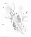 Fig. 04 - Vertical take-off and landing aircraft