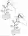 Fig. 03 - Holder for transporting and displaying edibles