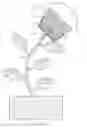Fig. 18 - Holder for transporting and displaying edibles