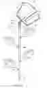 Fig. 22 - Holder for transporting and displaying edibles