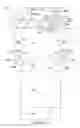 Fig. 14 - Carton and carton blank