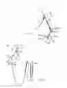 Fig. 02 - Horse Headgear