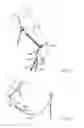 Fig. 03 - Horse Headgear
