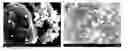 Fig. 01 - Lithium composite phosphate-based compound and preparation method therefor