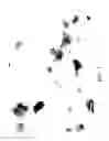 Fig. 04 - Nanoplatelet metal oxides