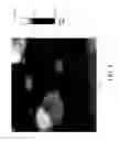 Fig. 06 - Nanoplatelet metal oxides