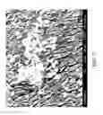 Fig. 08 - Nanoplatelet metal oxides