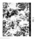 Fig. 10 - Nanoplatelet metal oxides