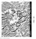 Fig. 11 - Nanoplatelet metal oxides