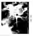 Fig. 15 - Nanoplatelet metal oxides