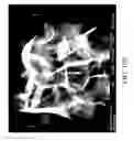 Fig. 19 - Nanoplatelet metal oxides