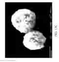 Fig. 23 - Nanoplatelet metal oxides