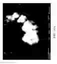 Fig. 24 - Nanoplatelet metal oxides