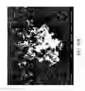 Fig. 29 - Nanoplatelet metal oxides