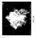 Fig. 30 - Nanoplatelet metal oxides