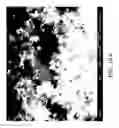 Fig. 32 - Nanoplatelet metal oxides