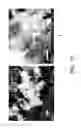 Fig. 35 - Nanoplatelet metal oxides