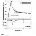 Fig. 03 - Composition based on calcium silicate hydrate