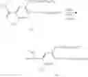 Fig. 22 - FLUORINE-CONTAINING COMPOUND, SUBSTRATE FOR PATTERN FORMATION, PHOTODEGRADABLE COUPLING AGENT, PATTERN FORMATION METHOD, AND COMPOUND
