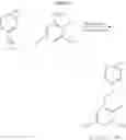 Fig. 19 - Substituted biaryl sulfonamides and the use thereof