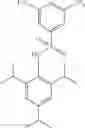 Fig. 26 - Substituted biaryl sulfonamides and the use thereof