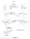 Fig. 03 - Synthetic Processes of Carprofen
