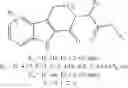 Fig. 15 - Synthetic Processes of Carprofen