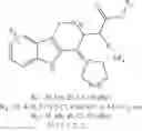 Fig. 17 - Synthetic Processes of Carprofen