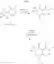 Fig. 26 - Piperidinone herbicides