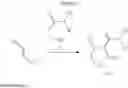 Fig. 28 - Piperidinone herbicides