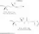 Fig. 209 - MODULATORS OF PHARMACOKINETIC PROPERTIES OF THERAPEUTICS