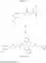 Fig. 233 - MODULATORS OF PHARMACOKINETIC PROPERTIES OF THERAPEUTICS