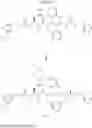 Fig. 241 - MODULATORS OF PHARMACOKINETIC PROPERTIES OF THERAPEUTICS