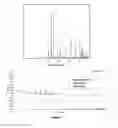 Fig. 04 - Method for preparing the anhydrous crystalline form of isoniazid-derived hydrazone, thus produced cristalline polymorph of the anhydrous form, use thereof for the treatment of Alzheimer's disease, parkinsonism and other neurodegenerative disorders, and pharmaceutical composition