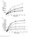 Fig. 04 - Benzocyanine Compounds