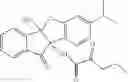 Fig. 19 - Compound, pharmaceutically acceptable salt or optical isomer thereof, method for preparing the same, and pharmaceutical composition for prevention or treatment of viral diseases containing same as active ingredient