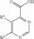 Fig. 123 - Substituted pyrimidines for inhibiting Raf kinase activity
