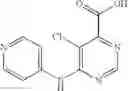 Fig. 145 - Substituted pyrimidines for inhibiting Raf kinase activity