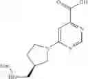 Fig. 216 - Substituted pyrimidines for inhibiting Raf kinase activity