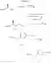Fig. 313 - Substituted pyrimidines for inhibiting Raf kinase activity