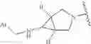 Fig. 312 - MULTIVALENT RAS BINDING COMPOUNDS