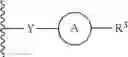 Fig. 61 - MULTIVALENT RAS BINDING COMPOUNDS