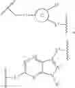 Fig. 892 - MULTIVALENT RAS BINDING COMPOUNDS