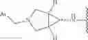 Fig. 941 - MULTIVALENT RAS BINDING COMPOUNDS