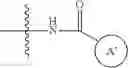 Fig. 970 - MULTIVALENT RAS BINDING COMPOUNDS