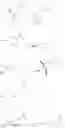 Fig. 24 - Antibacterial compounds