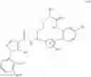 Fig. 13 - Macrocycles as factor XIa inhibitors