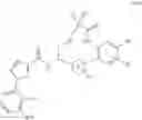 Fig. 24 - Macrocycles as factor XIa inhibitors