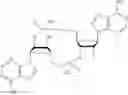 Fig. 16 - Compounds