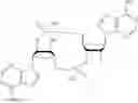 Fig. 20 - Compounds